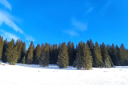 Igman i Bjelašnica – Ture i Staze