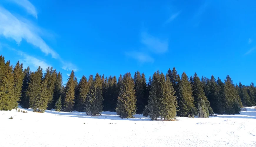 Igman i Bjelašnica – Ture i Staze