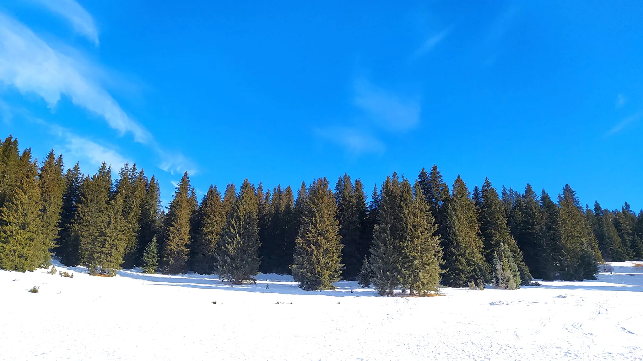 Igman i Bjelašnica – Ture i Staze