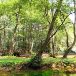 Vrelo Bosne, šetnja, priroda