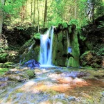 Izvor Miljacke, Sarajevo — rijeka i prirodni ambijent