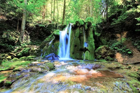 Izvor Miljacke, Sarajevo — rijeka i prirodni ambijent