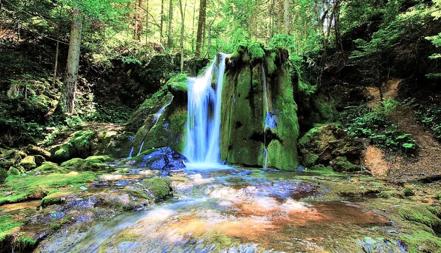 Izvor Miljacke, Sarajevo — rijeka i prirodni ambijent