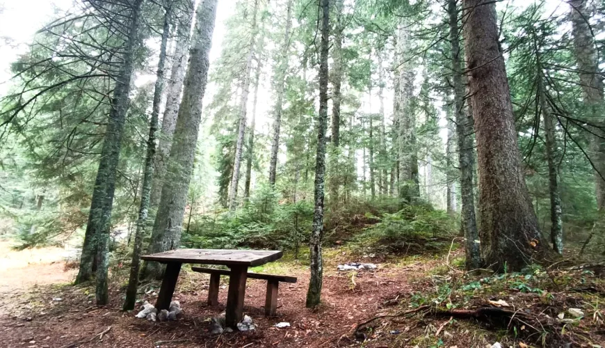 Igman – Priroda i Izleti