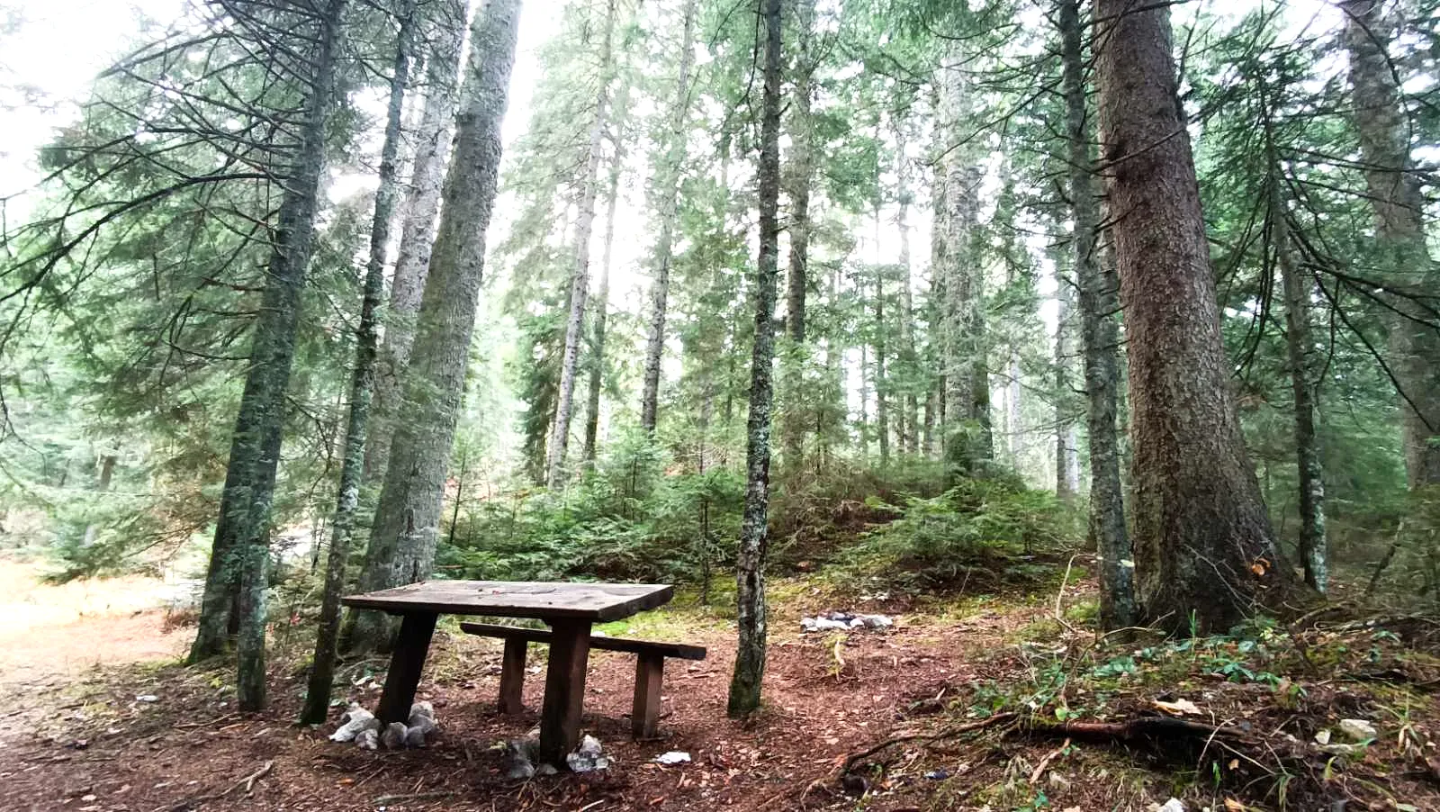 Igman – Priroda i Izleti