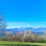 Jahorina, Crni Vrh, proljeće