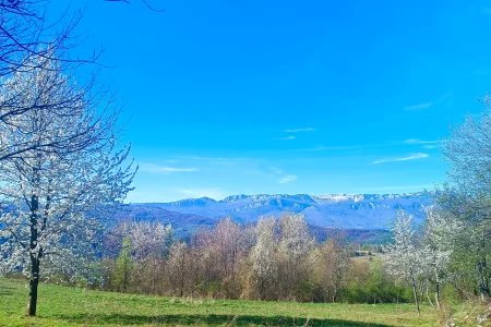 Jahorina, Crni Vrh, proljeće