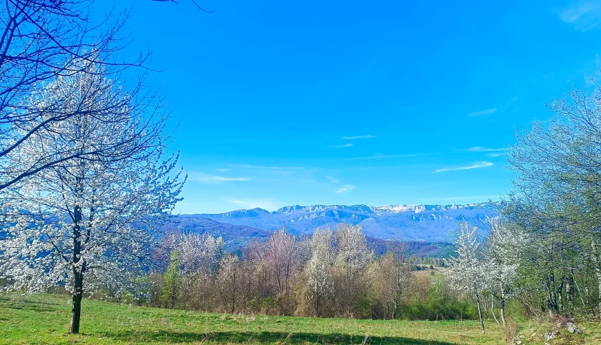 Jahorina, Crni Vrh, proljeće