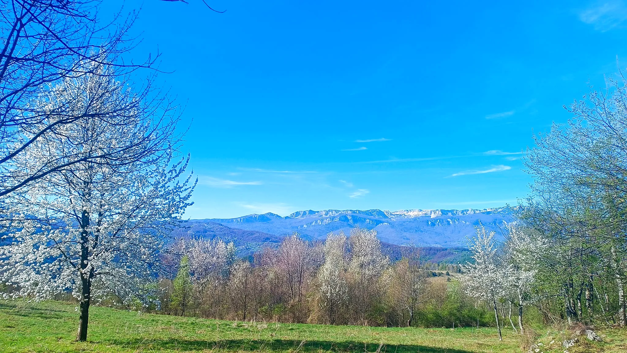 Jahorina, Crni Vrh, proljeće