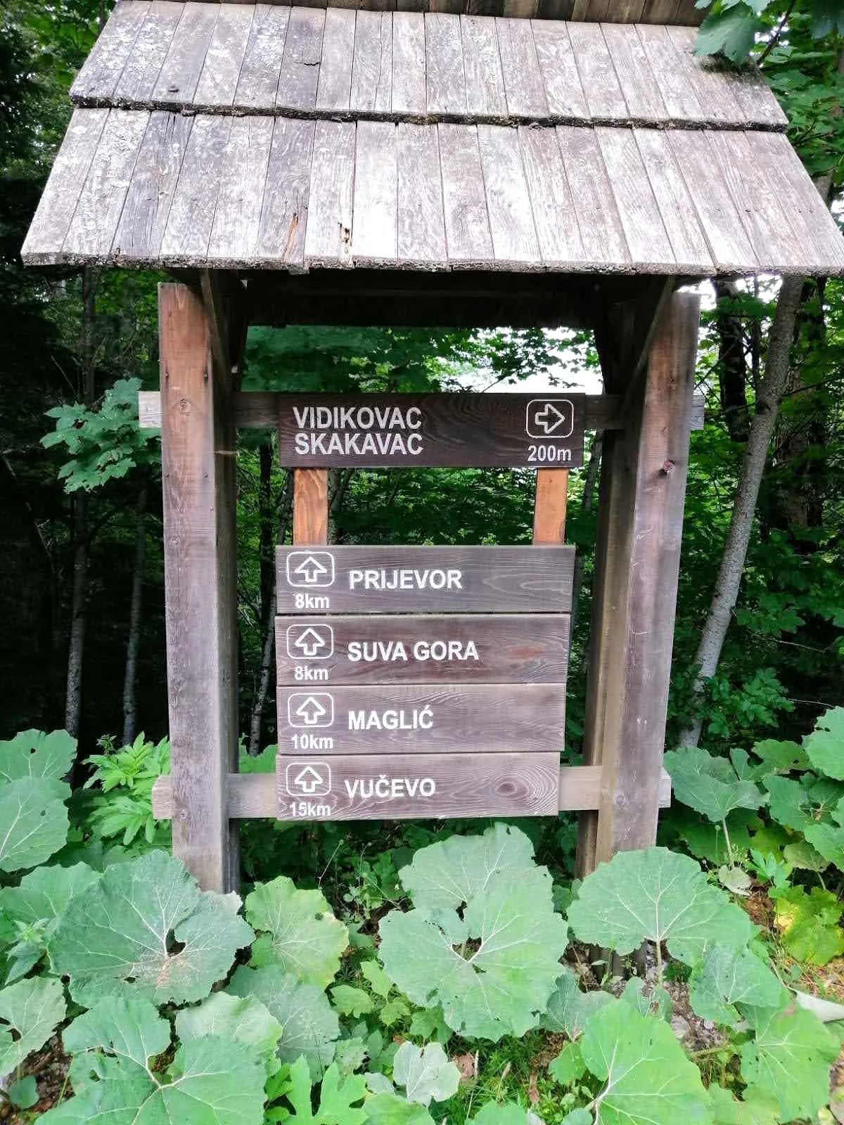 NP Sutjeska, šetnja