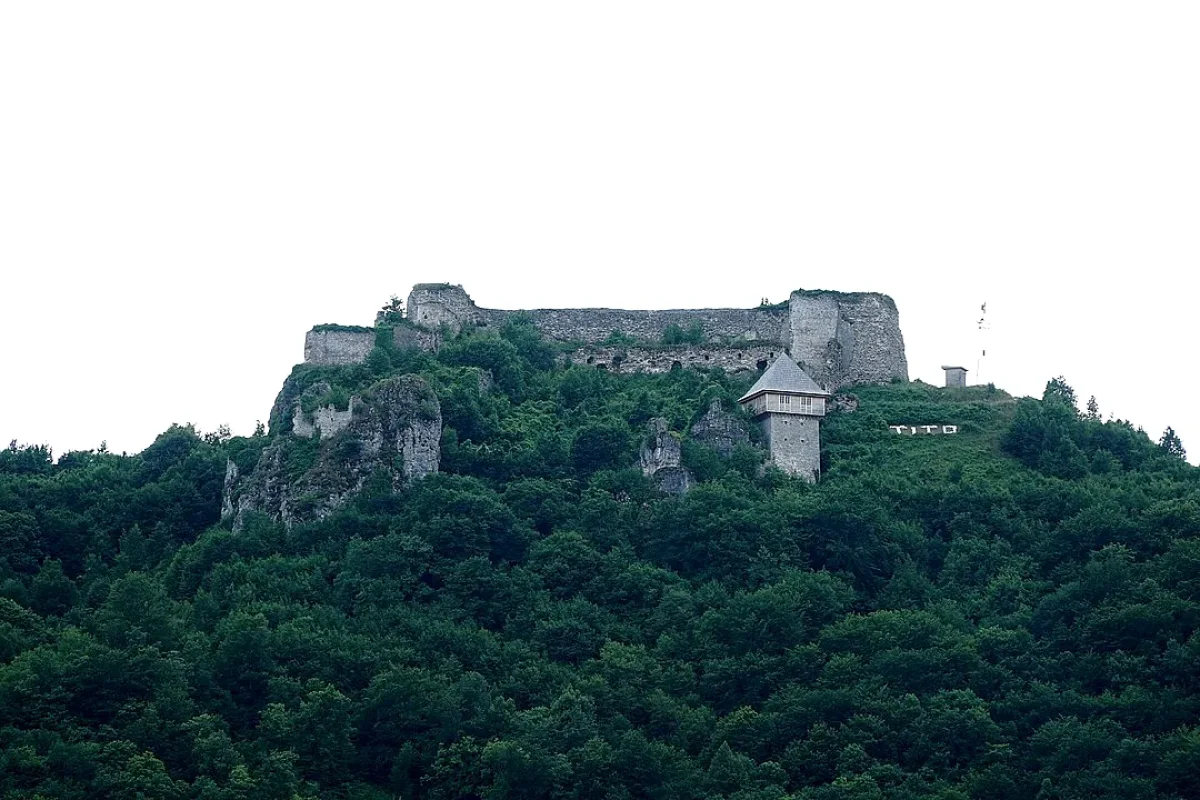 Photo: Adam Harangozó / CC-BY-SA-4.0 (Wikimedia Commons)