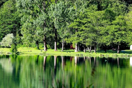 Boračko jezero