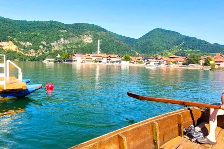 Divič